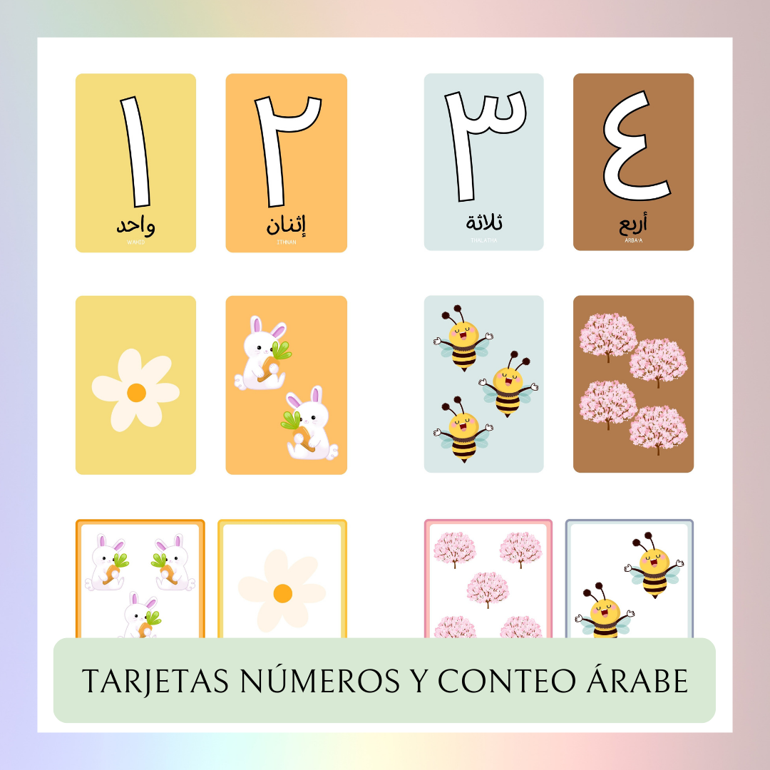 Tarjetas de números y conteo en ARABE (DIGITAL)